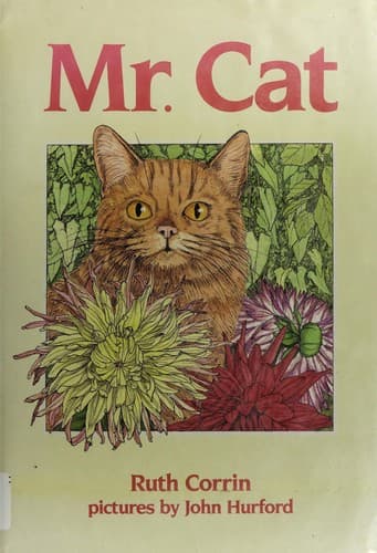 Cover of Mr. Cat by Ruth Corrin