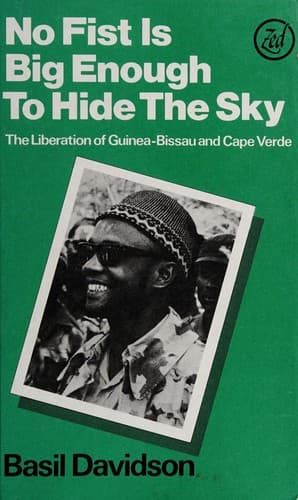 Cover of No Fist Is Big Enough to Hide the Sky by Basil Davidson