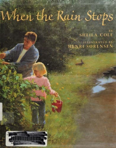 Cover of When the rain stops by Sheila Cole