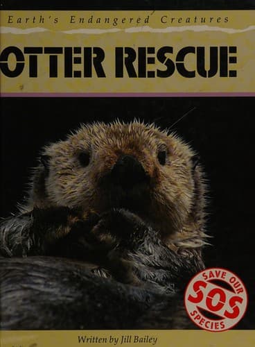 Cover of Project dolphin by Jill Bailey