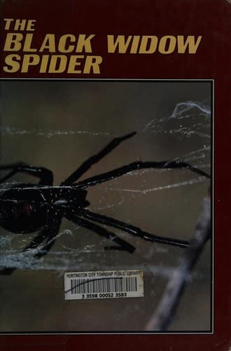 Cover of The black widow spider by Nancy J. Nielsen