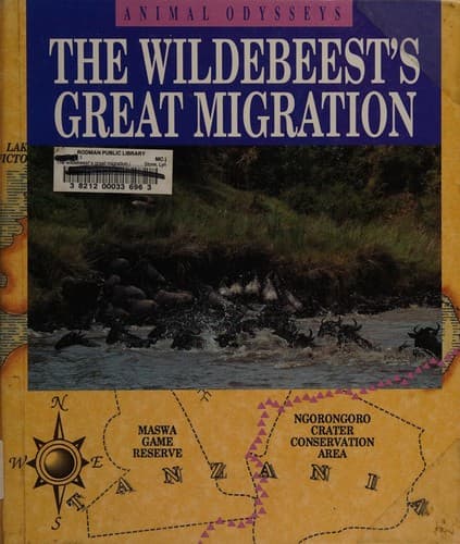 Cover of The wildebeests' great migration by Lynn M. Stone