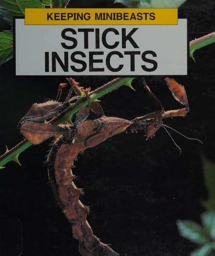 Cover of Stick insects by Barrie Watts