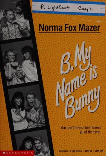 Cover of B, my name is Bunny by Norma Fox Mazer