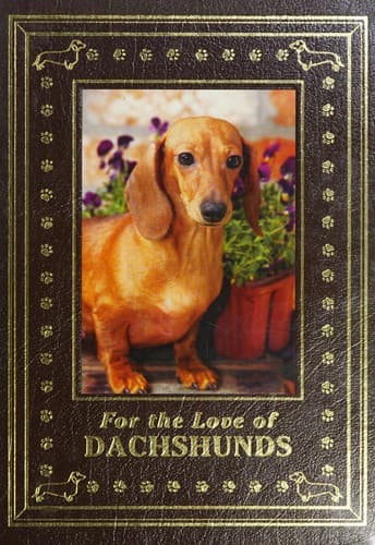 Cover of For the love of dachshunds by Hutchinson, Robert