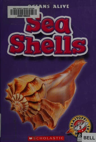 Cover of Sea shells by Shari Skeie