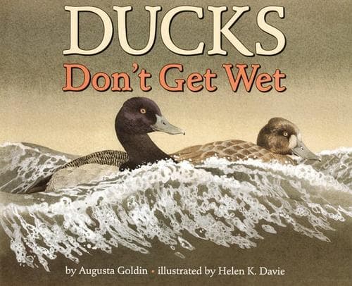 Cover of Ducks don't get wet by Augusta R. Goldin