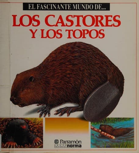 Cover of El fascinante mundo de-- las mariposas by Angels Julivert