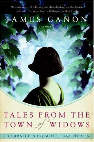 Cover of Tales from the Town of Widows by James Canon