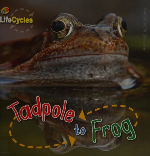 Cover of Tadpole to frog by Camilla De la Bédoyère