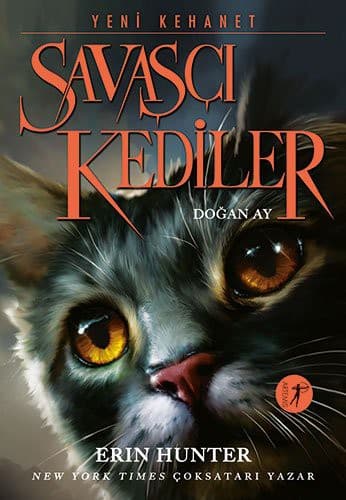 Cover of Moonrise by Erin Hunter
