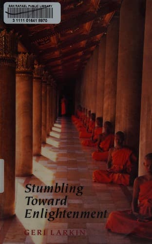 Cover of Stumbling toward enlightenment by Geri Larkin