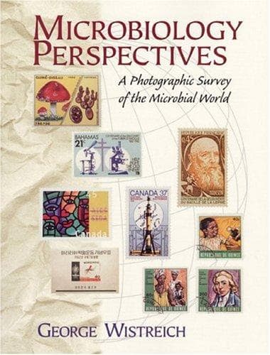 Cover of Microbiology perspectives by George A. Wistreich