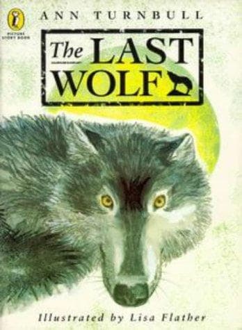 Cover of Last Wolf by Ann Turnbull