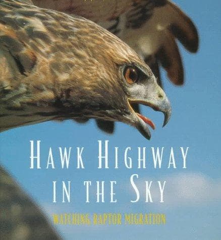 Cover of Hawk Highway in the Sky by Caroline Arnold