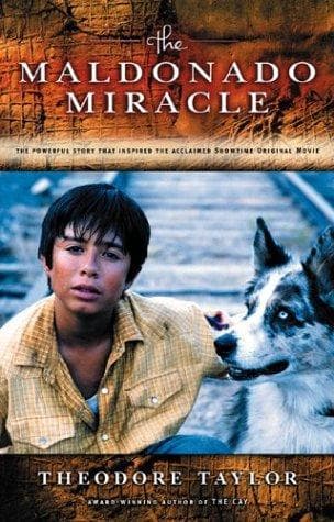 Cover of The Maldonado miracle by Taylor, Theodore