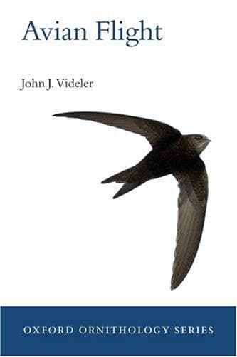 Cover of Avian flight by John J. Videler
