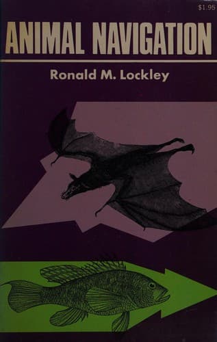 Cover of Animal navigation by R. M. Lockley