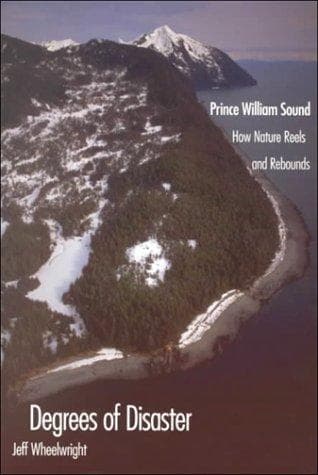Cover of Degrees of disaster by Jeff Wheelwright