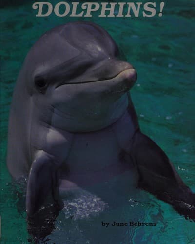 Cover of Dolphins! by June Behrens