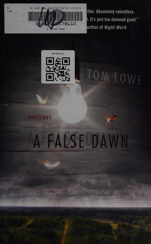 Cover of A false dawn by Tom Lowe