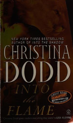 Cover of Into the flame by Christina Dodd