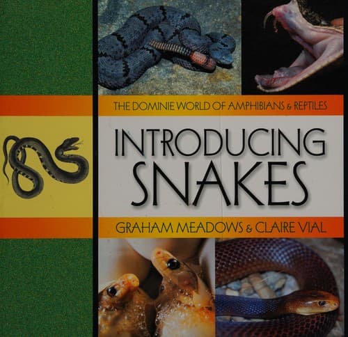 Cover of Introducing snakes by Graham Meadows