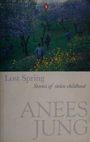 Cover of Lost Spring by Anees Jung