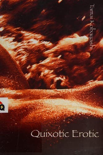 Cover of Quixotic Erotic by Tamai Kobayashi