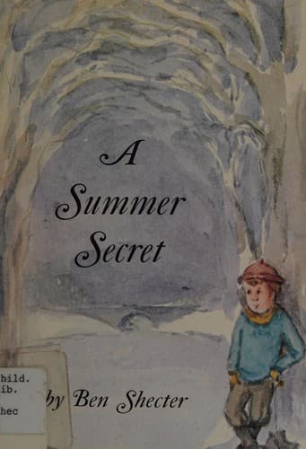 Cover of A summer secret by Ben Shecter