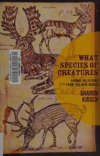 Cover of What species of creatures by Sharon Kirsch