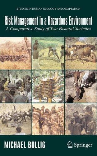 Cover of Risk Management in a Hazardous Environment by Michael Bollig