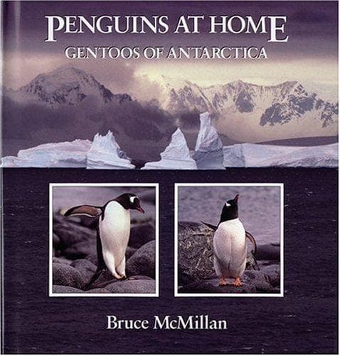 Cover of Penguins at home by Bruce McMillan