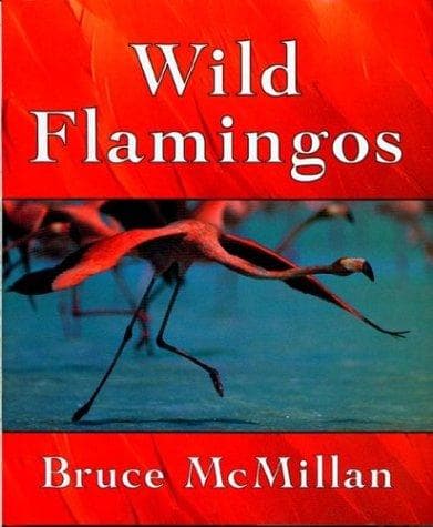 Cover of Wild flamingos by Bruce McMillan