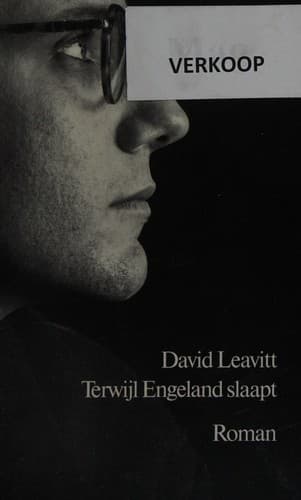 Cover of While England Sleeps by David Leavitt