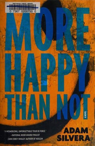 Cover of More Happy Than Not by Adam Silvera