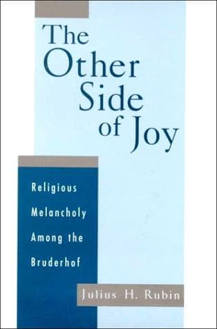 Cover of The other side of joy by Julius H. Rubin