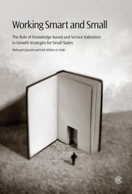 Cover of Working smart and small by Mahvash Saeed Qureshi