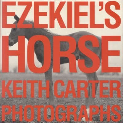 Cover of Ezekiel's horse by Keith Carter