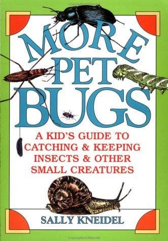 Cover of More pet bugs by Sally Stenhouse Kneidel