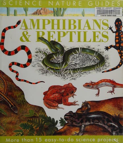Cover of Amphibians & reptiles of North America by Christiane Gunzi