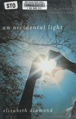 Cover of An accidental light by Elizabeth Diamond