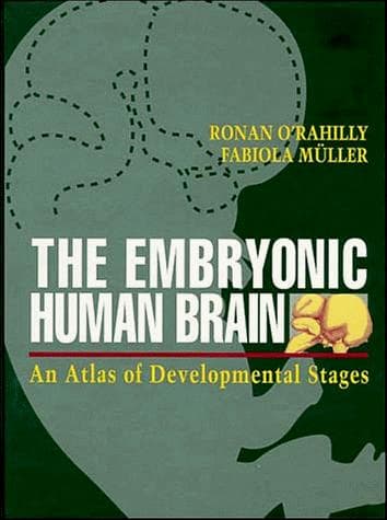 Cover of The embryonic human brain by Ronan O'Rahilly