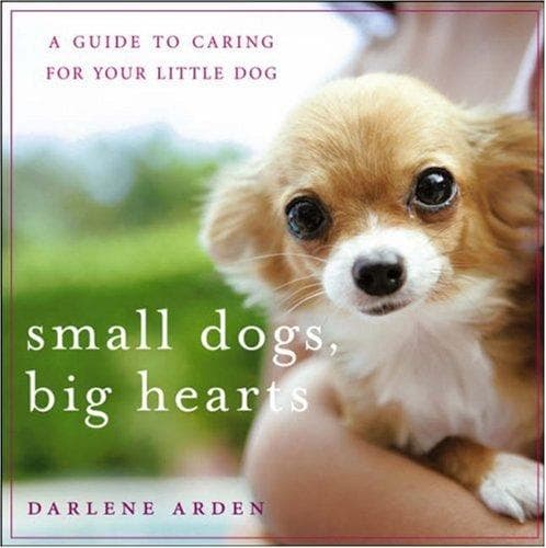 Cover of Small dogs, big hearts by Darlene Arden