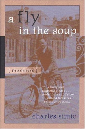 Cover of A fly in the soup by Charles Simic