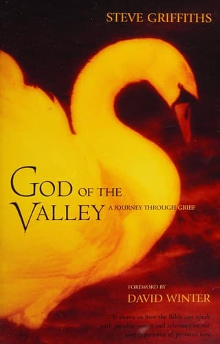 Cover of God of the valley by Rev Dr Steve Griffiths