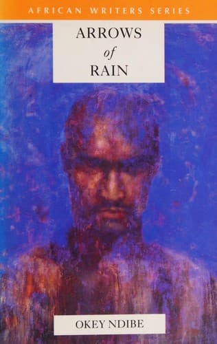 Cover of Arrows of rain by Okey Ndibe