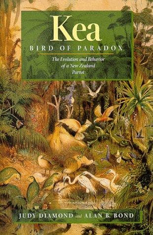 Cover of Kea, bird of paradox by Judy Diamond