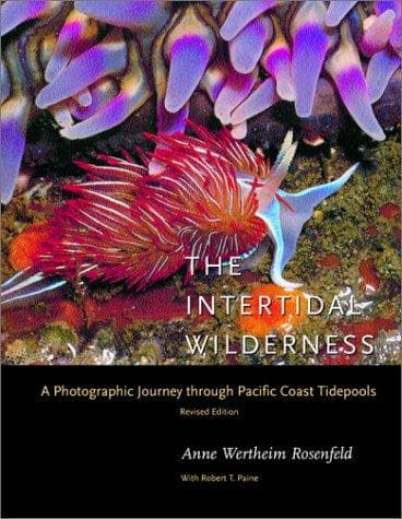 Cover of The Intertidal Wilderness by Anne Wertheim Rosenfeld