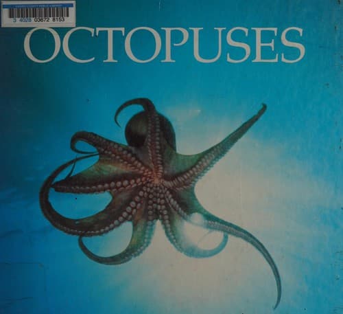 Cover of Octopuses by Jenny Markert